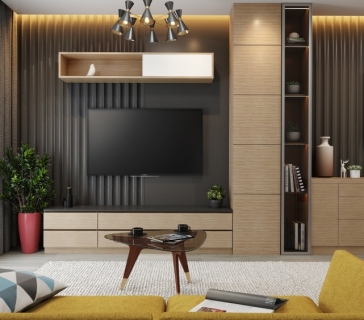living-room-interior-design-photo-gallery-where-black-laminated-tv-unit-design